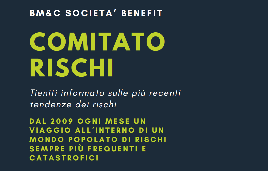 Comitato Rischi